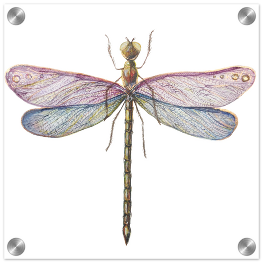 2944fffb-19a7-4ddf-9264-b9c5d3f8e9b1