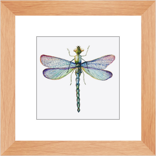 Wall Decor, Beautiful Colored Dragonfly Print, Solid Wood Frame