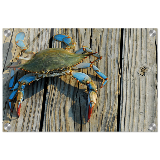 cb27816e-7ccf-4d93-8a8c-bee77ee1f799