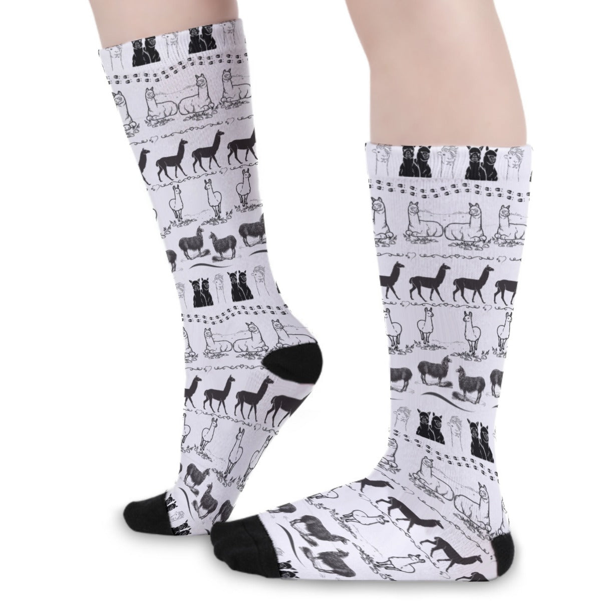 ADS-FPCW-MY8RE-FFFFFF