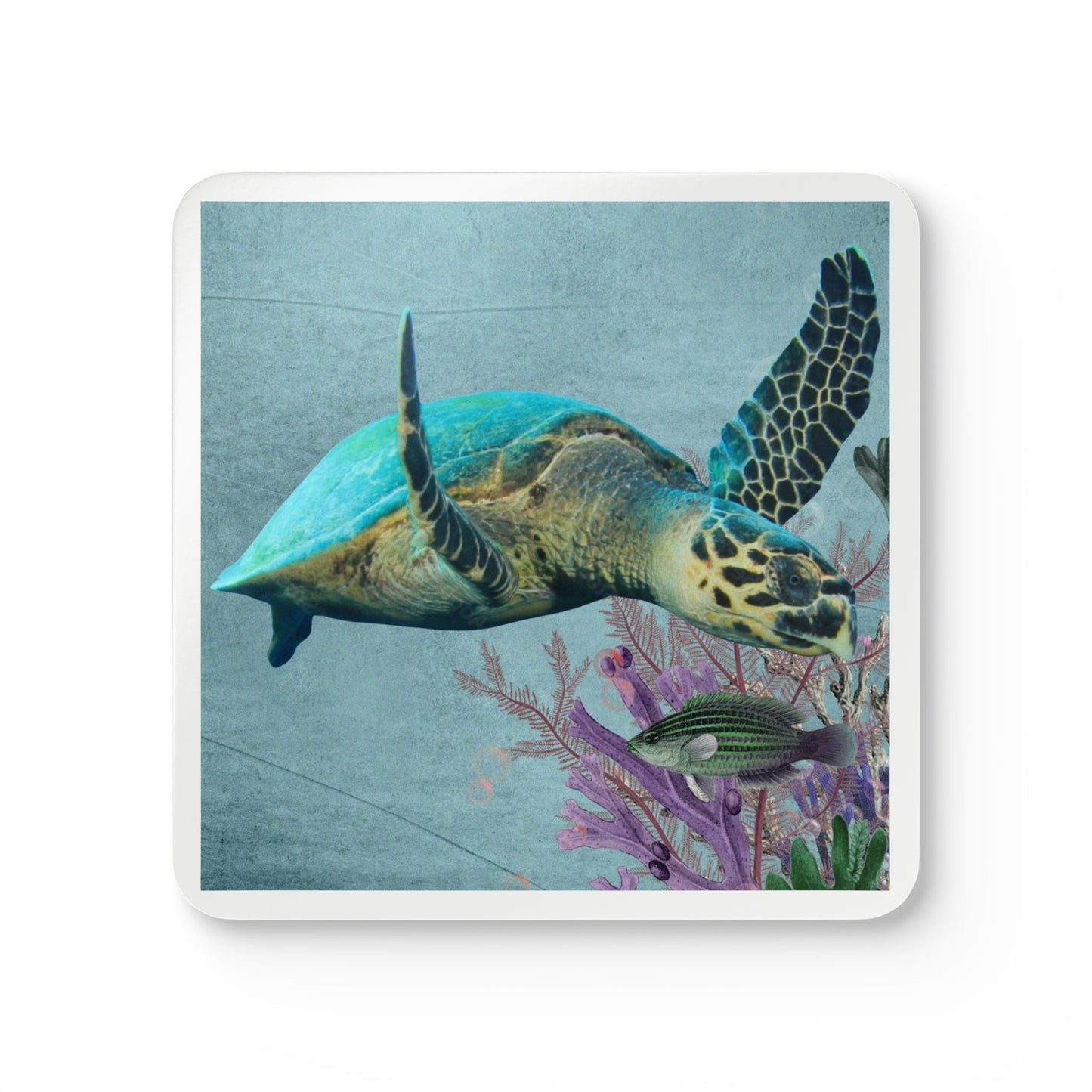 Sea Turtle - Smelling the Flowers, Coaster, Set of 4