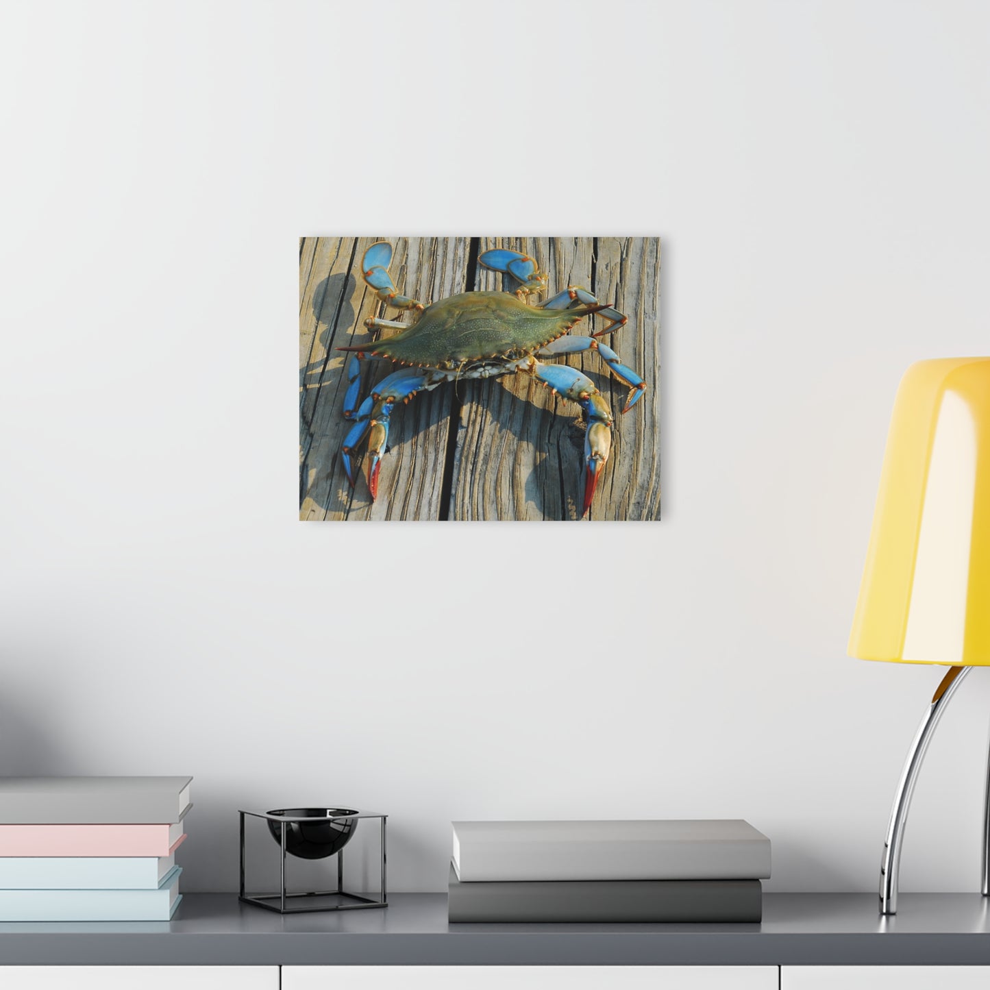 Maryland Blue Crab, Acrylic Print (French Cleat Hanging)