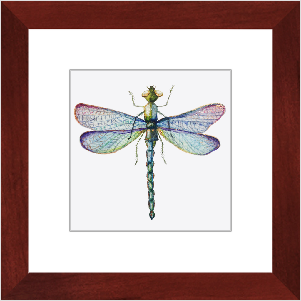 Wall Decor, Beautiful Colored Dragonfly Print, Solid Wood Frame