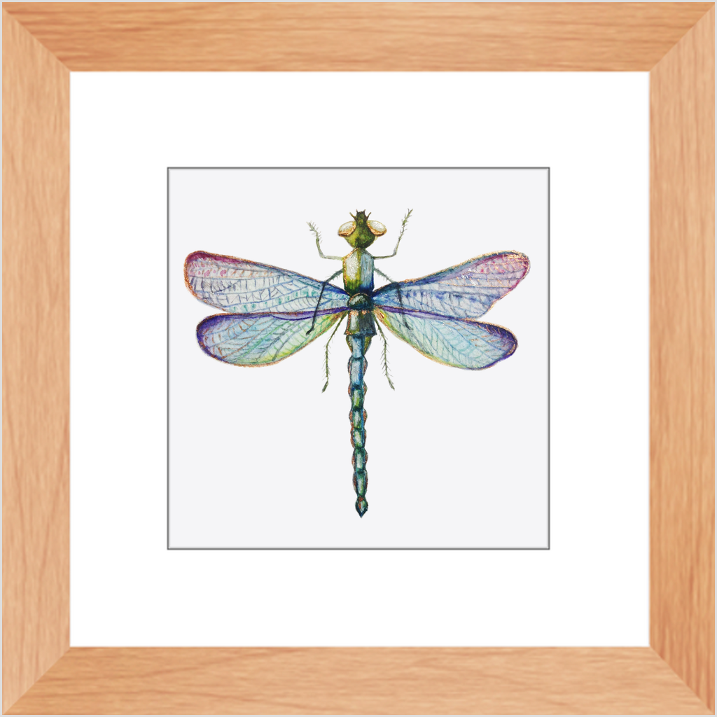 Wall Decor, Beautiful Colored Dragonfly Print, Solid Wood Frame