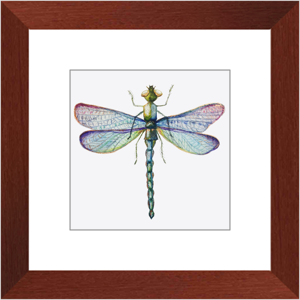 Wall Decor, Beautiful Colored Dragonfly Print, Solid Wood Frame