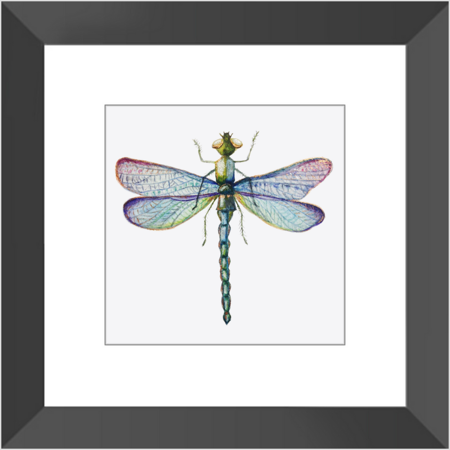 Wall Decor, Beautiful Colored Dragonfly Print, Solid Wood Frame