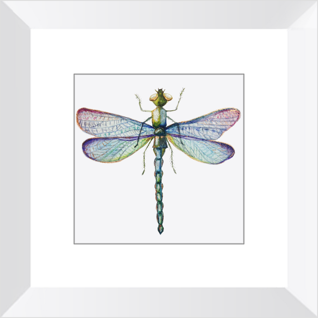 Wall Decor, Beautiful Colored Dragonfly Print, Solid Wood Frame